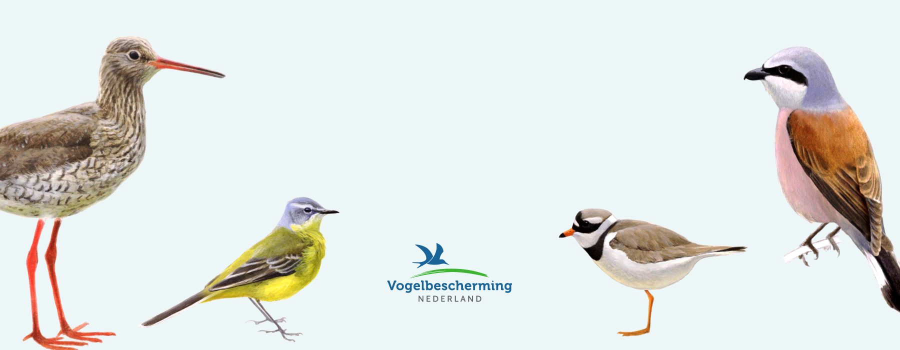 Header persbericht Vogelbescherming DCC Amsterdam